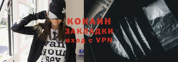 соль ск Алексин