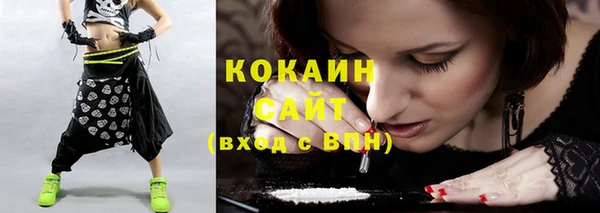 ECSTASY Алзамай