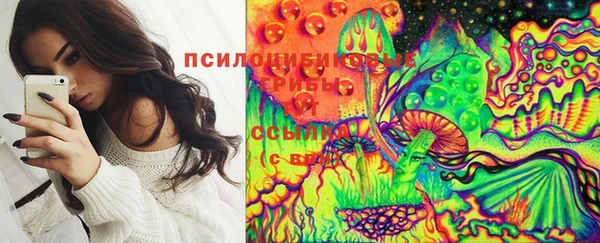 ECSTASY Алзамай