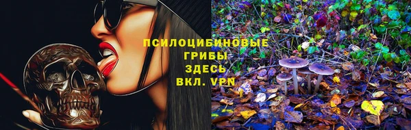 дмт Алексеевка
