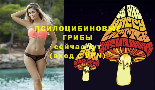 соль ск Алексин