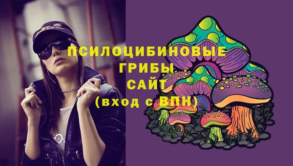 соль ск Алексин