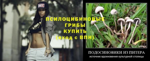 соль ск Алексин
